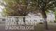 EPSBD, addictologie, universitaire, Essonne, Etampes